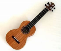 Ukulele an  introduction - 23LCAU38 (Facilitator Nikolaus Ginter)